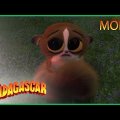 DreamWorks Madagascar em Português | Melhores momentos de Mork | Desenhos Animados