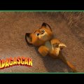 DreamWorks Madagascar | Alex Bebê Sequestrado! | Madagascar  Escape 2 Africa Filme