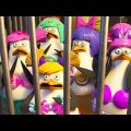 DreamWorks Madagascar em Português | O plano de Dave | Pinguins de Madagascar | Desenhos Animados