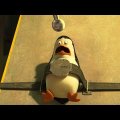 DreamWorks Madagascar em Português | Pinguins Capturados |Pinguins de Madagascar | Desenhos Animados