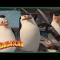 DreamWorks Madagascar | Pinguins Constroem o Avião | Madagascar: Escape 2 Africa Filme