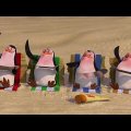 DreamWorks Madagascar | Melhor dos pinguins | Madagascar