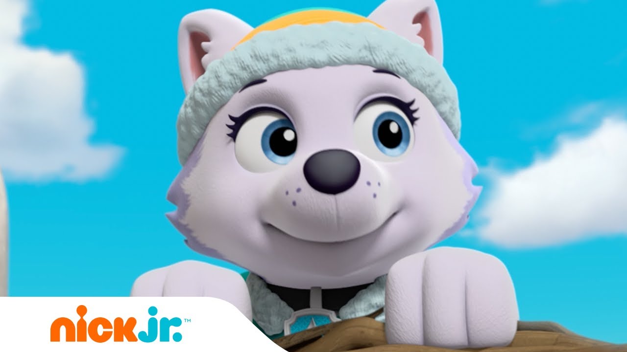 Patrulha Canina A Patrulha Canina Joga Queimada Contra Macacos рџђµ