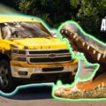 Hot Wheels em Português