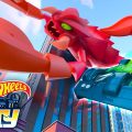 Hot Wheels em Português