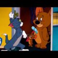 Tom & Jerry em Português | Brasil | Pegue-me se for capaz | WB Kids