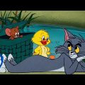 Tom & Jerry em Português 🇧🇷 | Brasil | Preparativos Para a Primavera | @WBKidsBrasil​