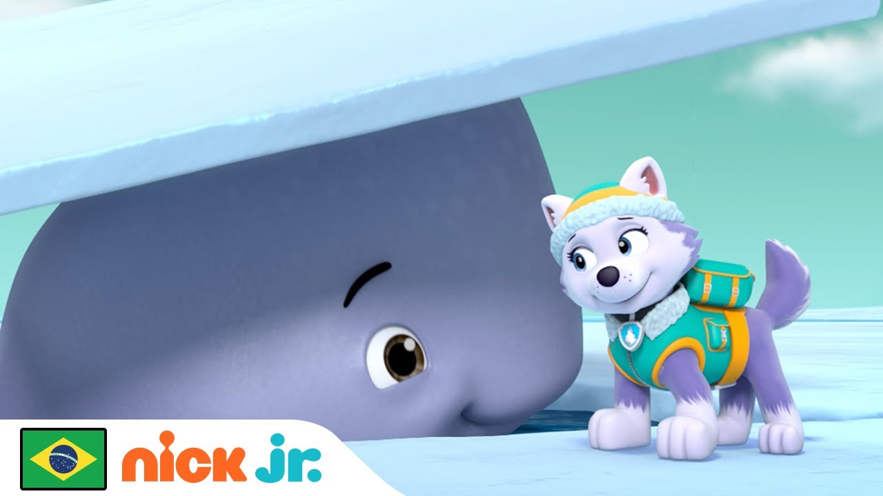 Patrulha Canina Patrulha Canina Resgata Baleias Nick Jr Em